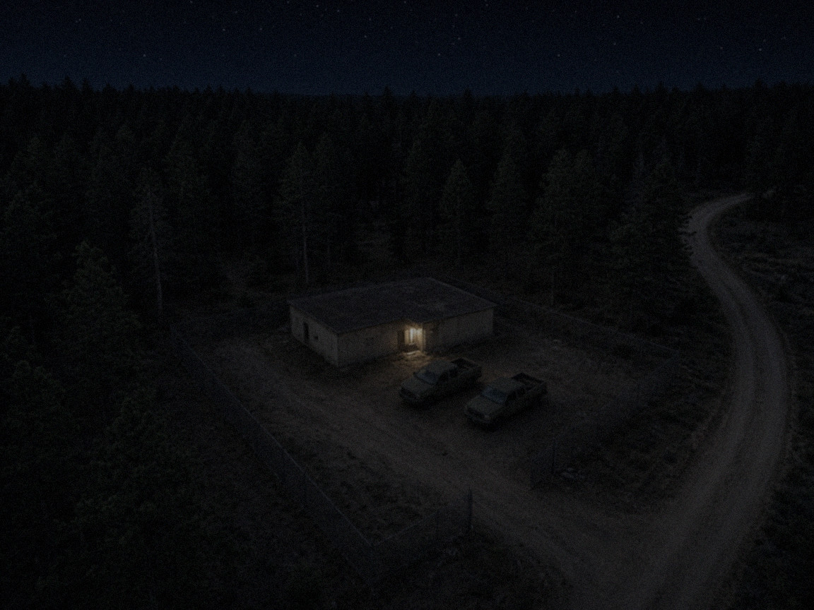 Photon-starved RGB night feed of a forest compound
